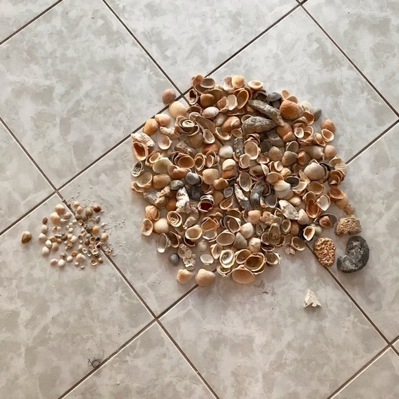 Custom shell bundle — PLEASE READ - Picture 2 of 16